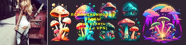 ПСИЛОЦИБИНОВЫЕ ГРИБЫ Балахна