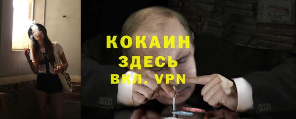 индика Михайловка