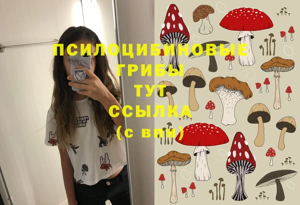 MDMA Беломорск